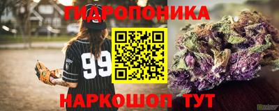 альфа пвп Заволжье