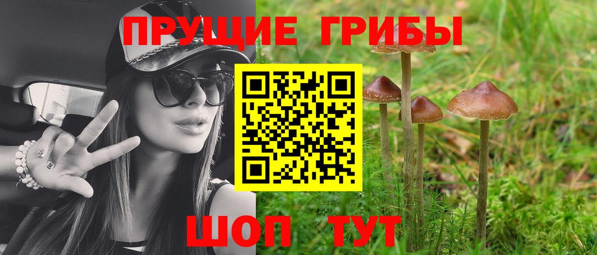 Шумерля  Галлюциногенные грибы Psilocybine cubensis  Вход с VPN 